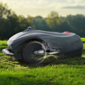 belaidis vejos robotas su lidar